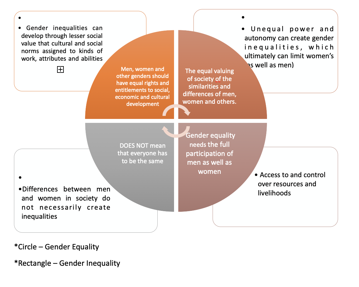 gender equality diagram