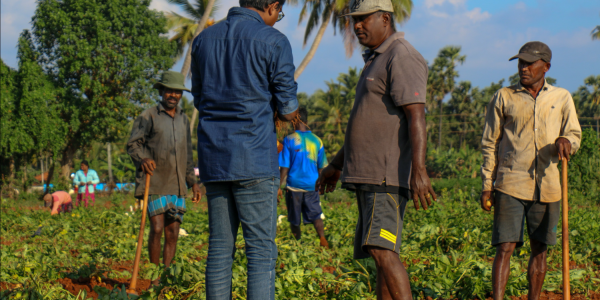 farmers